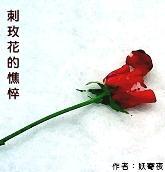 刺玫花的憔悴封面