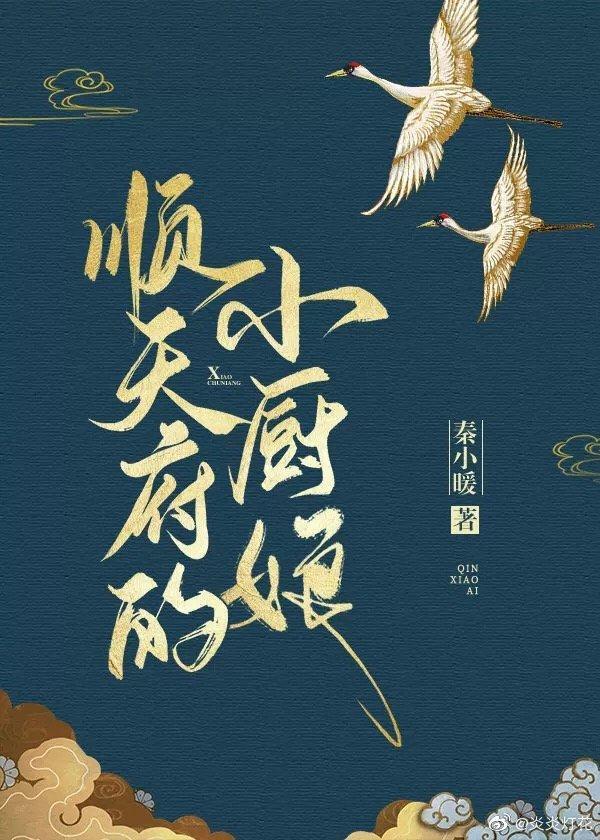 顺天府的小厨娘封面