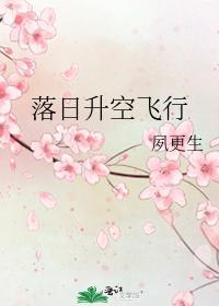 落日升空飞行封面