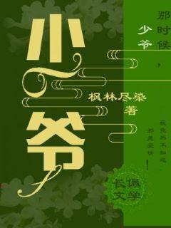 少爷封面