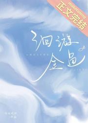洄游金鱼封面