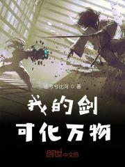 我的剑可化万物封面