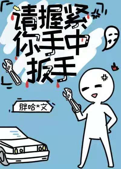 请握紧你手中扳手封面