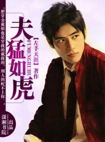 夫猛如虎封面
