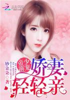祁少老婆拆家了封面