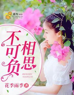 不可负相思封面