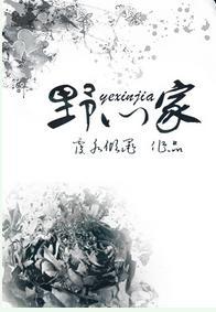 野心家封面