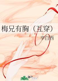 梅兄有胸（互穿）封面