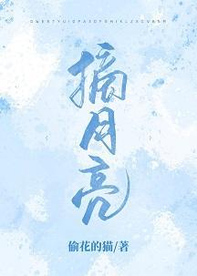摘月亮封面