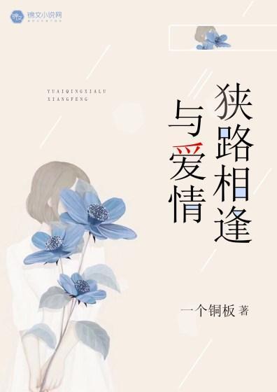 与爱情狭路相逢封面