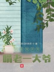 四合院开局啃老一大爷封面