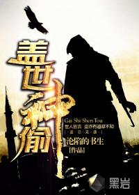 盖世神偷封面