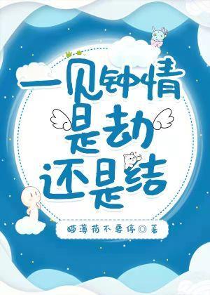 一见钟情是劫还是结封面