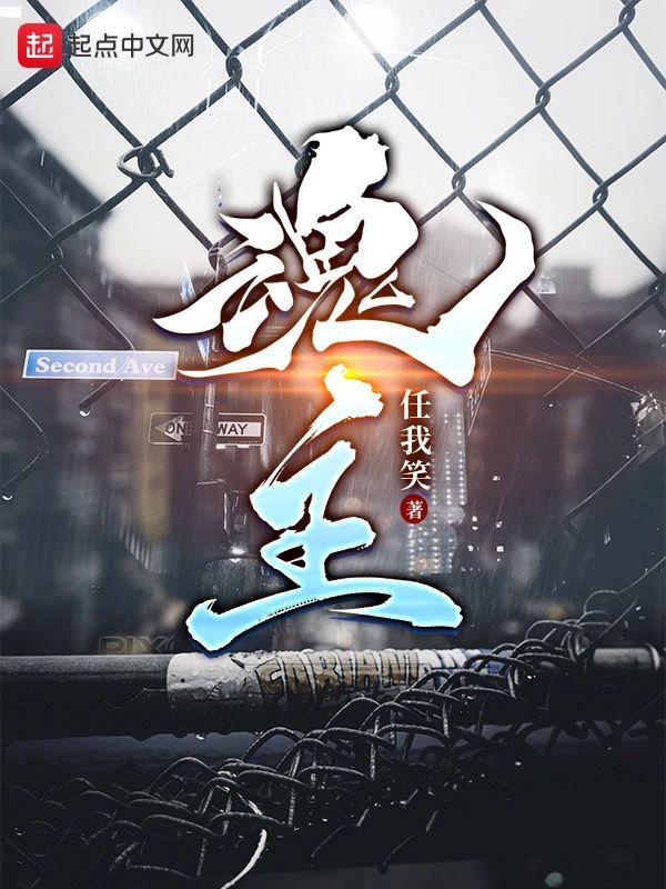 魂主封面