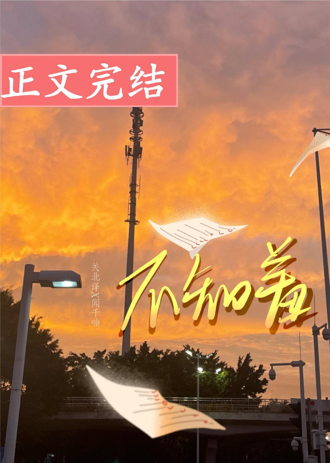 不知羞封面
