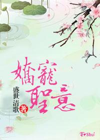 娇宠圣意封面
