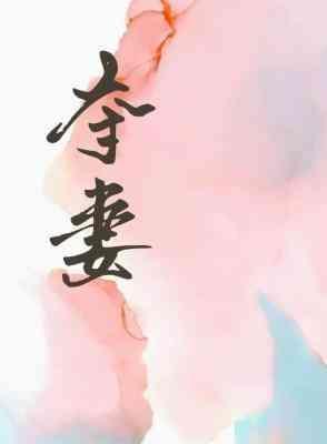 夺妻封面