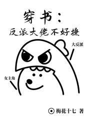 穿书：反派大佬不好撩封面