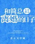 和简总离婚的日子封面