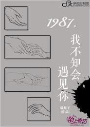 1987,我不知会遇见你封面
