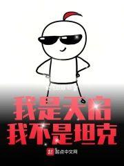 我是天启我不是坦克封面