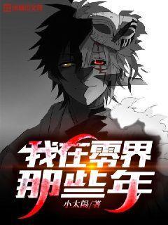 我在零界那些年封面
