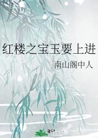 红楼之宝玉要上进封面