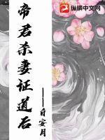 少汪几句封面