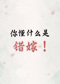 上错花轿嫁错郎封面