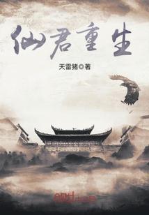 仙君重生封面