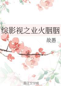综影视之业火胭胭封面
