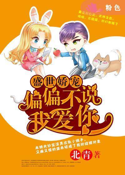 盛世娇宠：偏偏不说我爱你封面