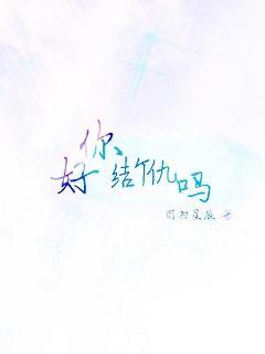 你好，结个仇吗封面