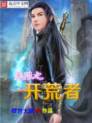 无限之开荒者封面