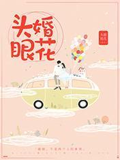 头婚眼花封面