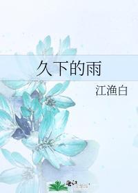 久下的雨封面