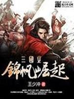 三国之锦帆崛起封面