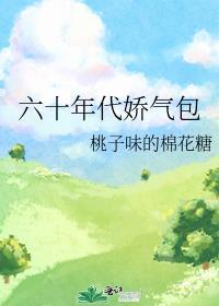 六十年代娇气包封面