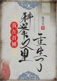 我在首辅科举文裏重生了封面