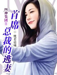 小妈咪：首席总裁的逃妻封面