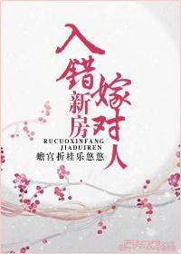 入错新房嫁对人封面