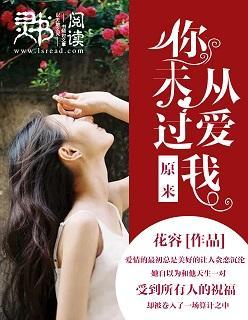 原来你从未爱过我封面