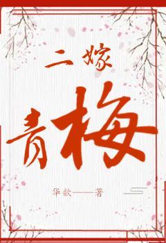 二嫁青梅封面