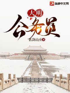 大明公务员封面