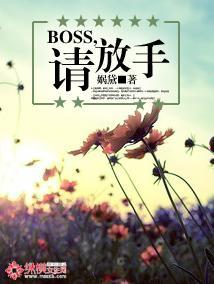 BOSS，请放手！封面