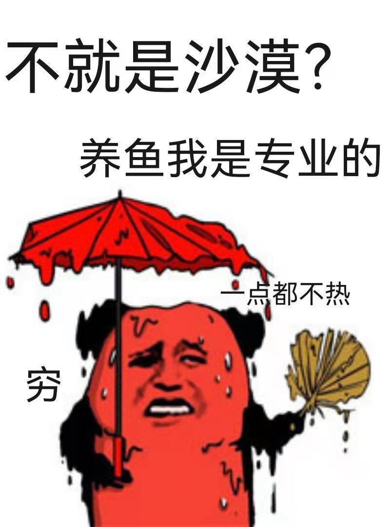 沙漠人鱼饲养指南[直播]封面