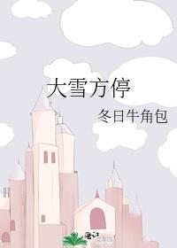 大雪方停封面