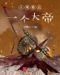 大明最后一个大帝封面