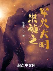 崇祯之军火大明封面