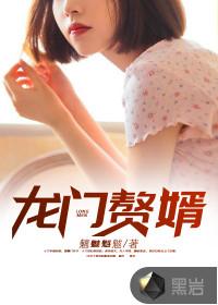 龙门赘婿叶辰最后娶了几个老婆封面
